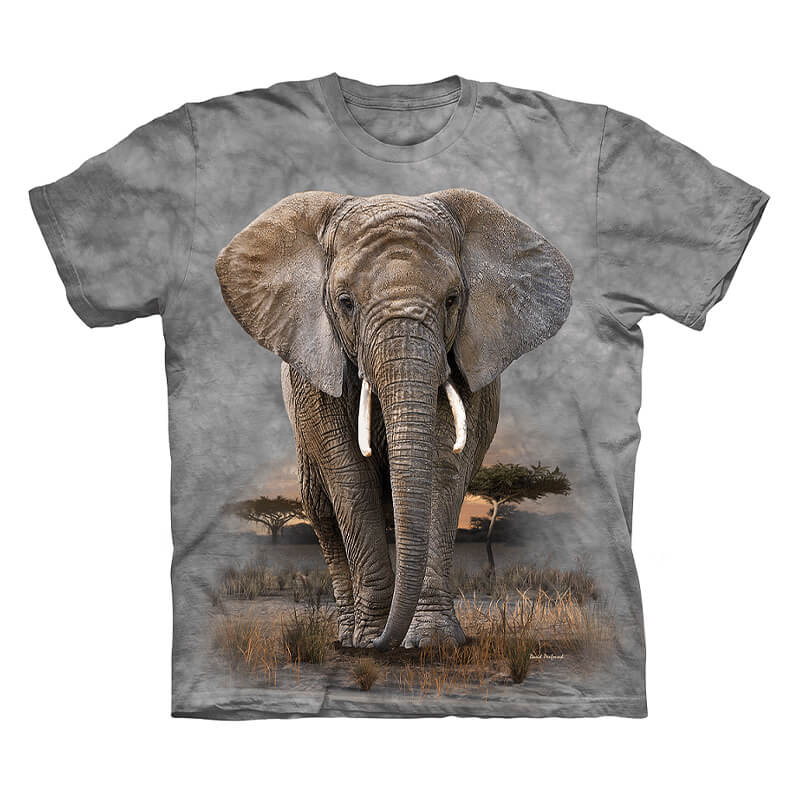 Walking Elephant Kids Dyed T-Shirt Grey/Khaki