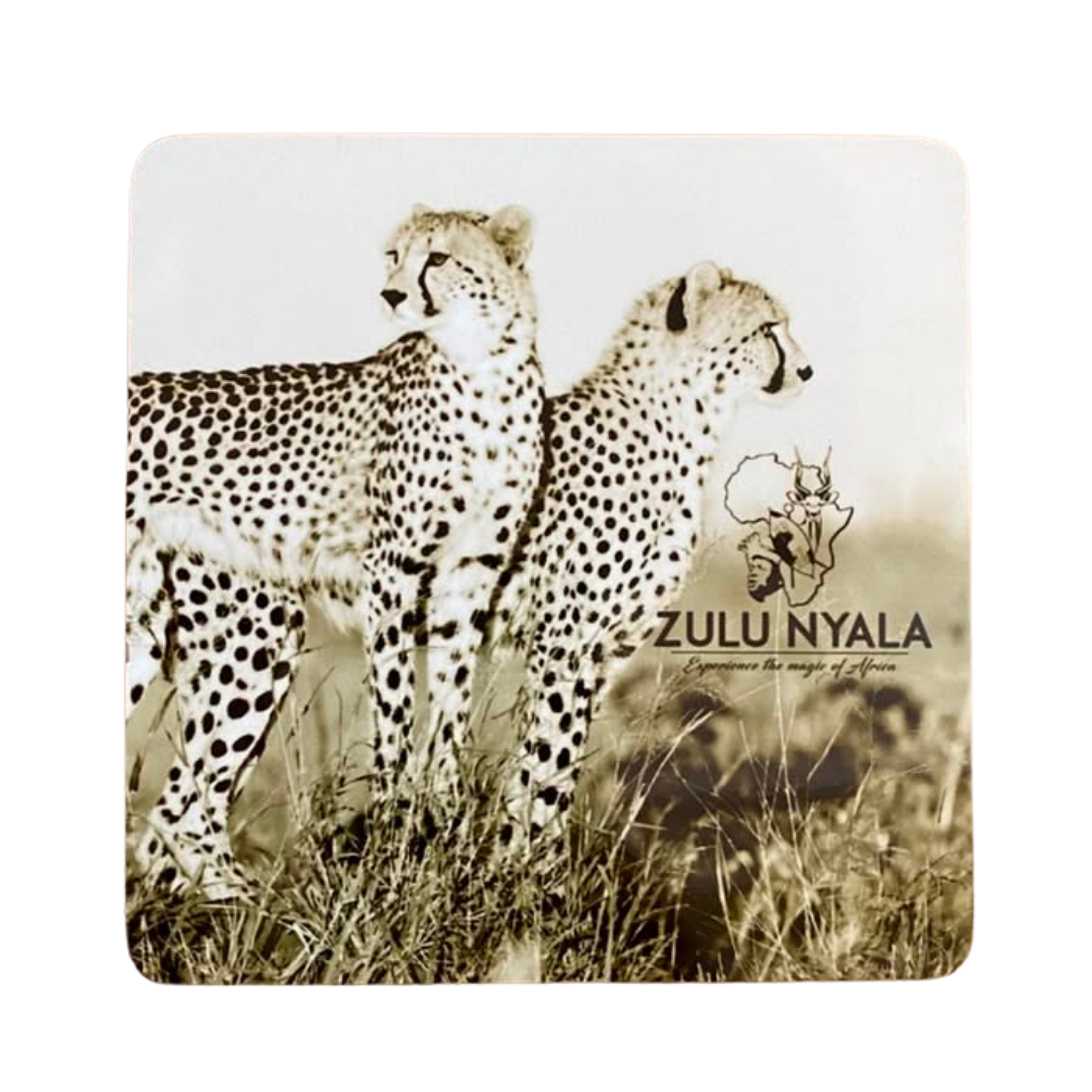 Black & White Wildlife Coasters (Zulu Nyala)