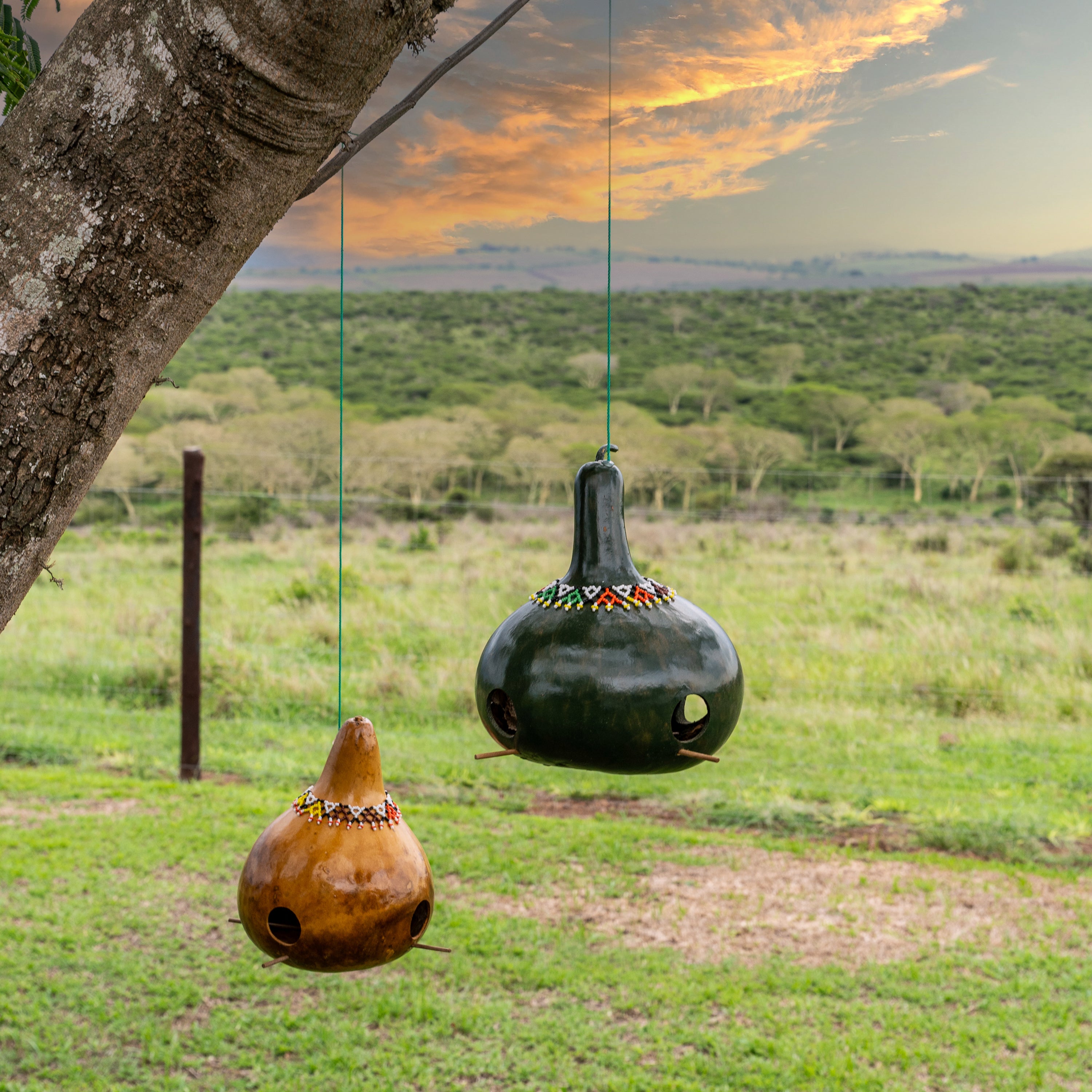 Beaded Calabash Bird Feeders